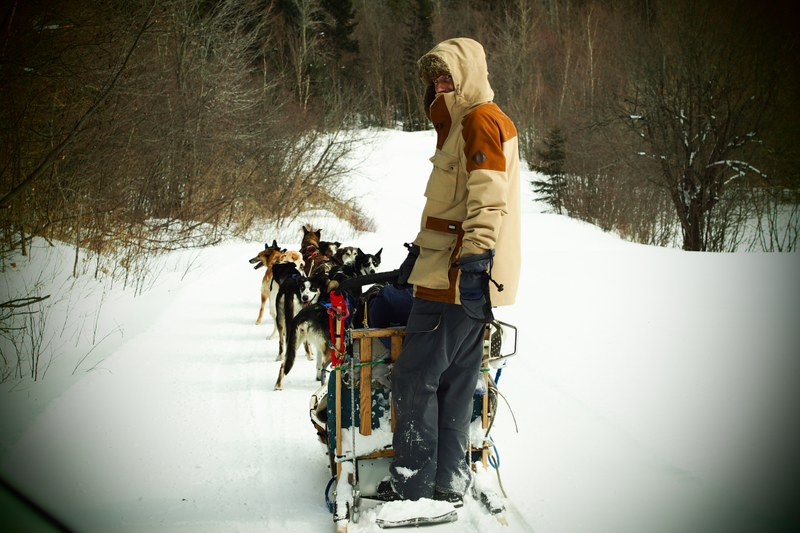 Illustration for article titled Where the Dogs Are: A Dogsledding Photo Diary